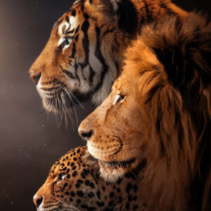 You & Your Friends in One Frame